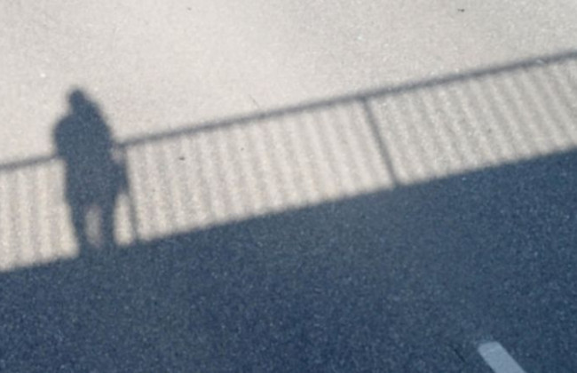 В Германии 10-летнего украинского школьника сбросили с моста за украинский язык