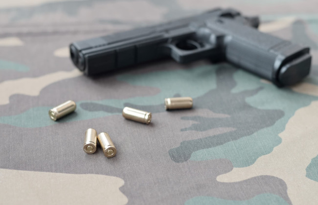 Раде рекомендуют принять законопроект о декларировании оружия