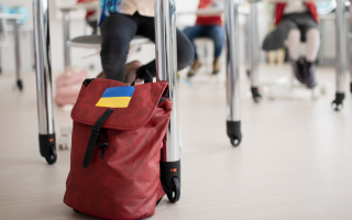 Українські школярі за кордоном будуть навчатися за спеціальною програмою: деталі від МОН