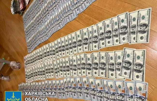 Керівник благодійного фонду організував «схеми» втечі ухилянтів за кордон: подробиці