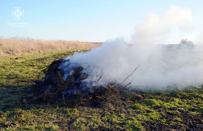 Поджигателей сухой травы будут штрафовать