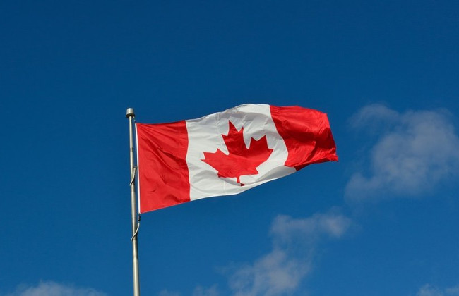 Канада хочет обучать украинских судей и судебных аудиторов