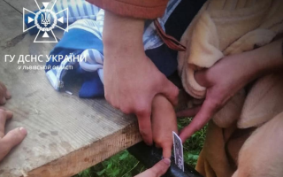 На Львовщине в 7-летнего ребенка палец застрял в конструкциях телеги – пришлось вызвать ГСЧС, фото