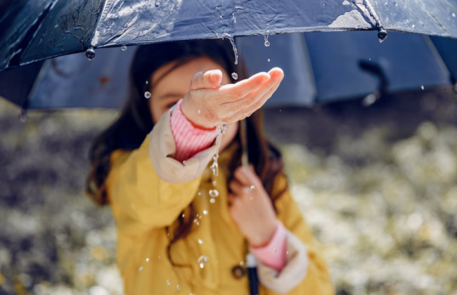 В некоторых областях Украины 4 сентября пройдут дожди и возможны грозы