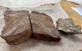 Таможенники нашли в посылке из Киева камни возрастом 407 миллионов лет с отпечатками древних вымерших рыб