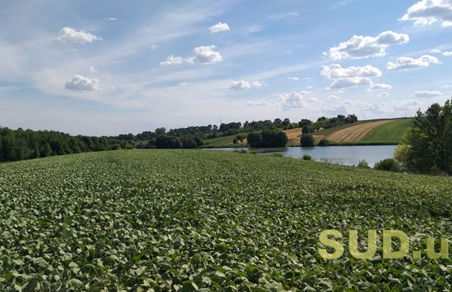 В Киевской области директор предприятия незаконно завладел землей стоимостью более 32 млн грн