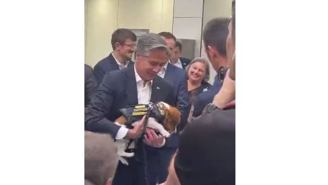 Пес Патрон встречал Блинкена в Киеве: видео