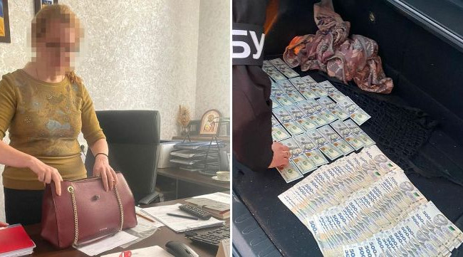 Начальница Житомирской таможни Ольга Ильинская, разоблаченная на коррупции, предстанет перед судом