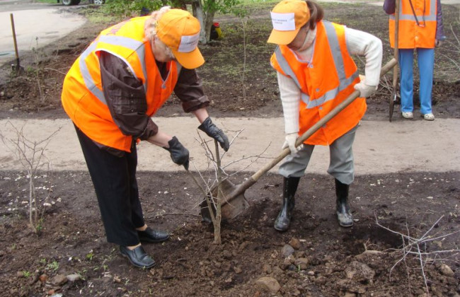Чи нараховується компенсація за невикористану відпустку працівникам на громадських роботах