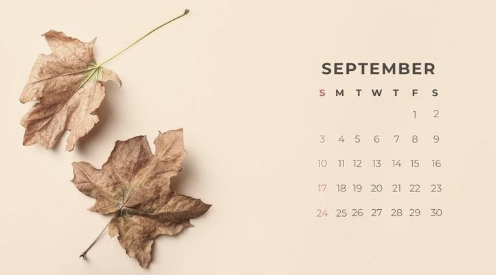8 сентября: какой сегодня праздник и главные события