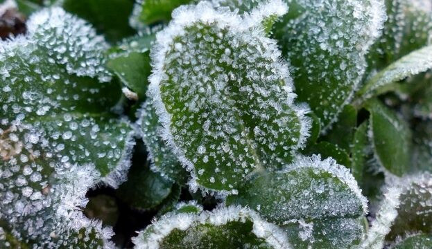 В Украину идут первые заморозки: прогноз синоптиков: прогноз синоптиков