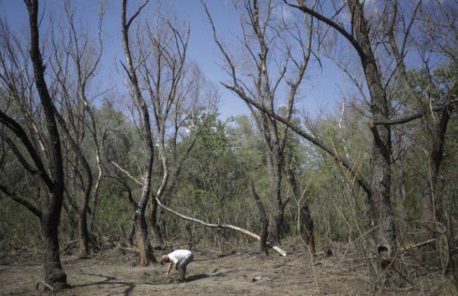 Падение обломков беспилотника на румынском берегу Дуная: Румыния вызвала руководителя дипмиссии рф