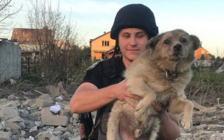 В Сумах умер пес, которого достали из-под завалов одного из домов