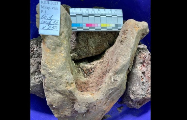 В Киеве археологи обнаружили древние «рыла»: фото
