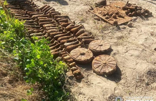 На Житомирщині жінка копала картоплю, а знайшла цілий арсенал зброї часів Другої світової війни