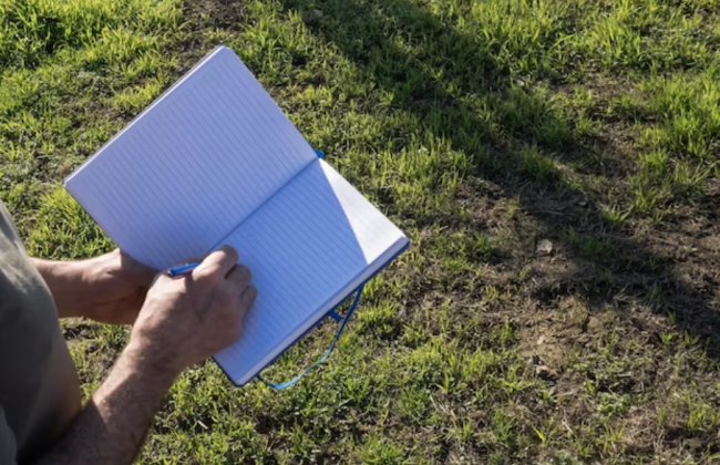 Налоговая декларация по плате за землю – опубликовано примеры заполненной отчетности для налогоплательщиков