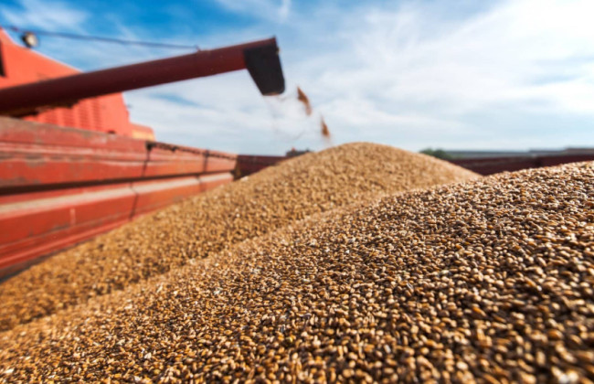 Премьер Румынии предлагает продлить запрет на импорт украинской агропродукции на 30 дней