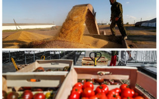 Украина может запретить ввоз фруктов и овощей из Польши