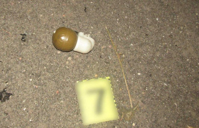 В Киевской области в результате взрыва погиб мужчина, его брата госпитализировали: фото