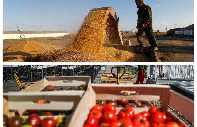 Украина может запретить ввоз фруктов и овощей из Польши