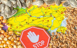 Украина будет судиться с Польшей, Венгрией и Словакией из-за запрета импорта украинского зерна