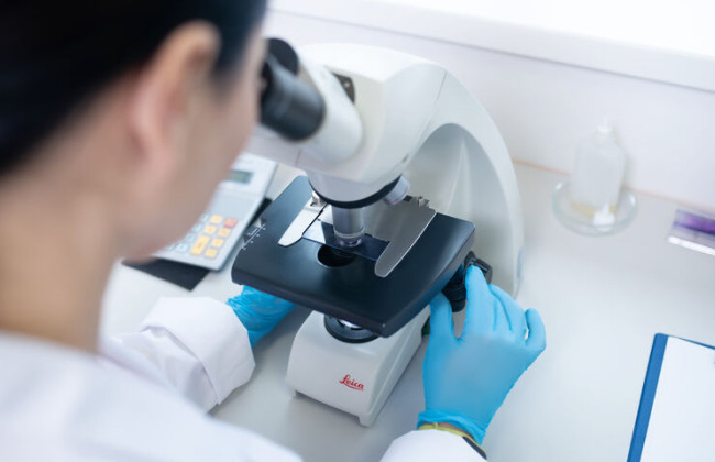 Як зробити безоплатно гормональні дослідження: пояснення