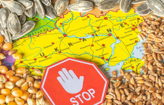 Украина будет судиться с Польшей, Венгрией и Словакией из-за запрета импорта украинского зерна