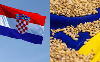 В Хорватии заявили, что не будут импортировать украинское зерно