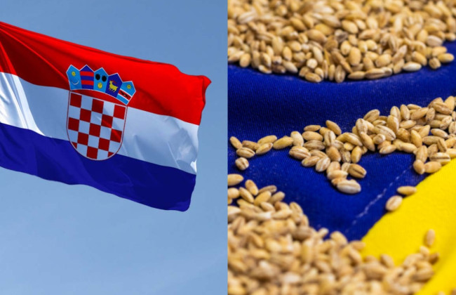 У Хорватії заявили, що не імпортуватимуть українське зерно