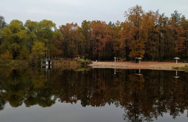 Апелляционный суд вернул Киеву 3000 гектаров незаконно захваченного Беличанского леса
