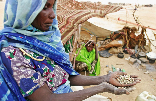 Єврокомісія призупинила  фінансування продовольчої програми ООН для Сомалі через розкрадання грошей