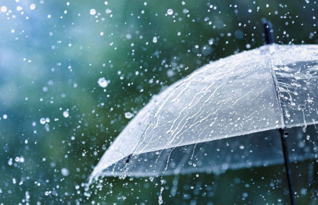 В Украину идут «грибные дожди»: прогноз синоптика