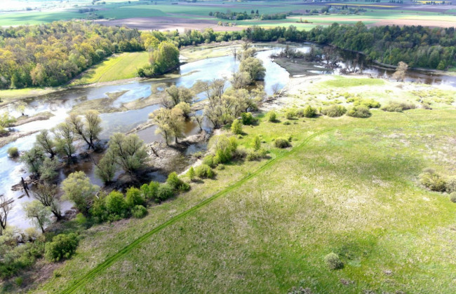 На Волині суд повернув у державну власність майже тисячу гектарів земель оборони