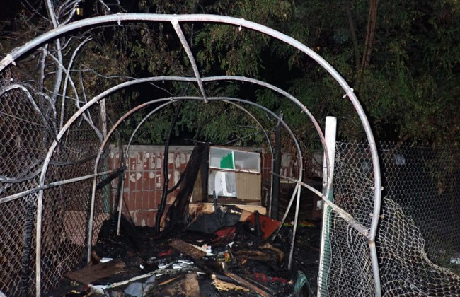 Пожар в приюте для животных в Киеве: открыто еще одного производство