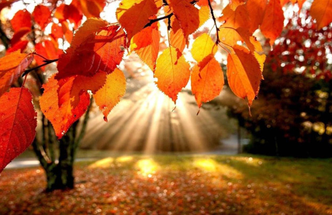 Лето в Украине продолжается, но похолодание не за горами: прогноз синоптика