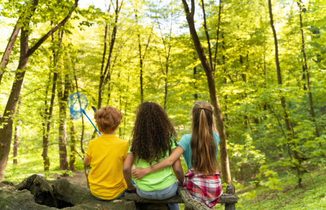 У дитячому таборі на Івано-Франківщині, де в оздоровчій поїздці перебували 148 дітей із Києва, сталася пожежа