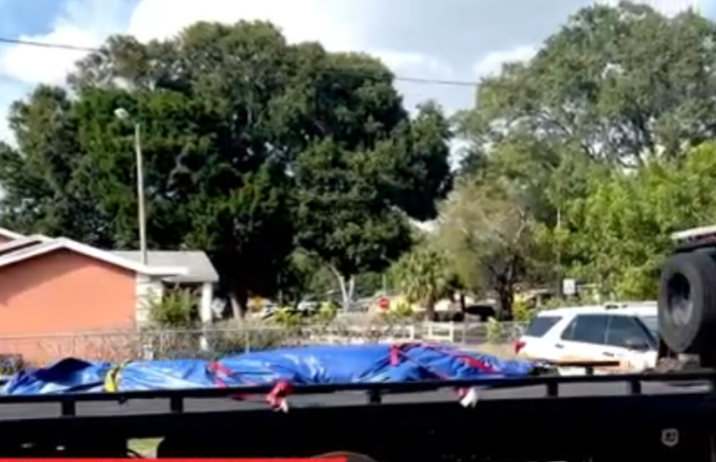 Полиция идентифицировала жертву аллигатора, в пасти которого обнаружили останки человеческого тела