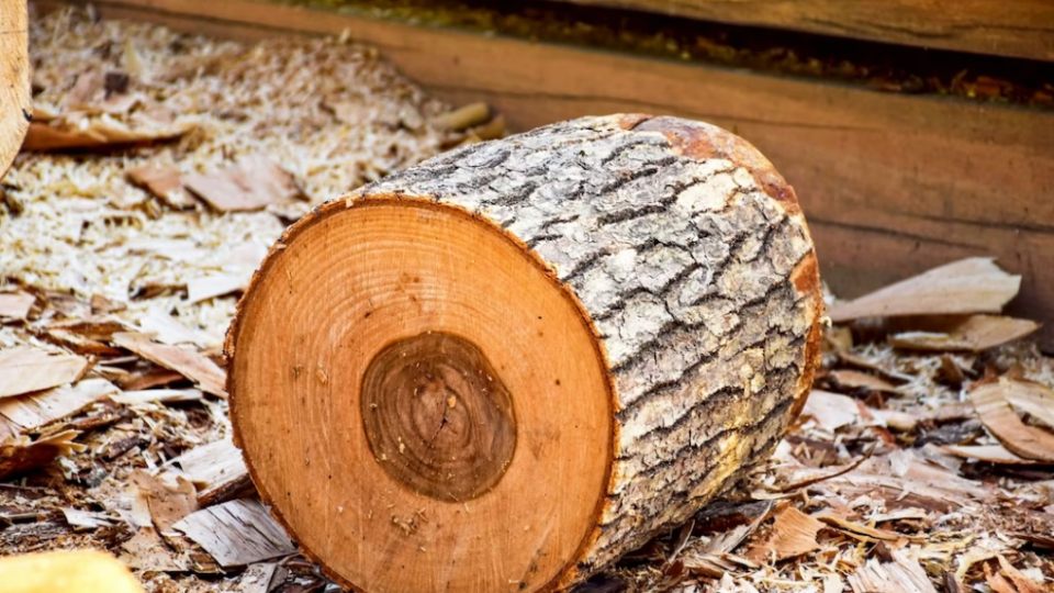 Мешканців прифронтових регіонів забезпечать безоплатними дровами