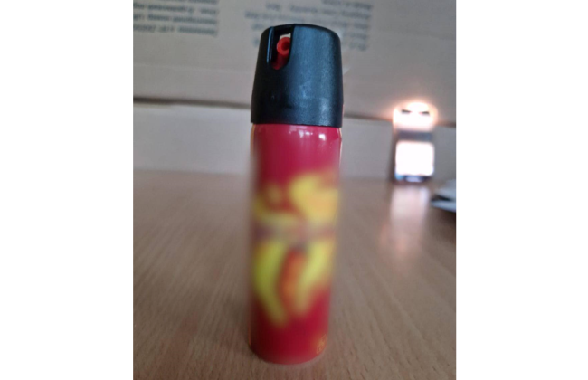 В Софиевской Борщаговке ученица распылила слезоточивый газ в школе — есть пострадавшие