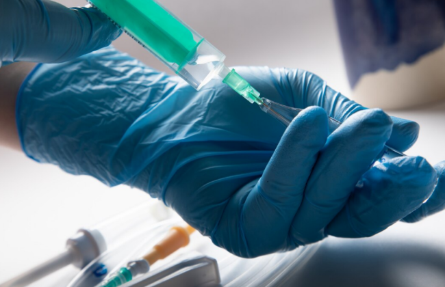 В Черновцах зафиксировали случай бешенства кота