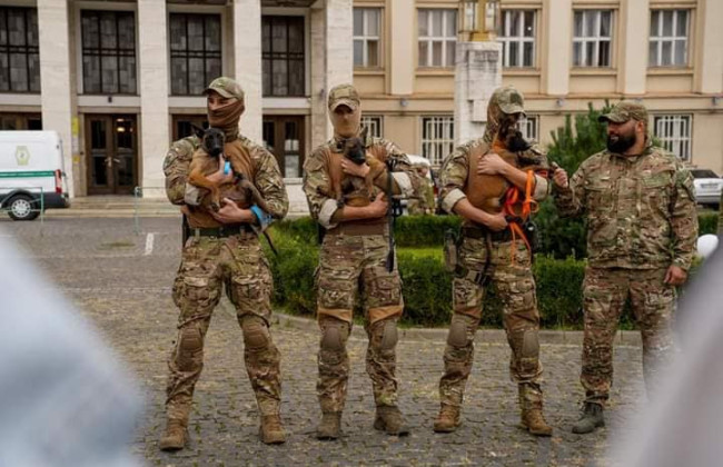 У Кінологічному центрі поліції Закарпаття навчатимуть собак-терапевтів