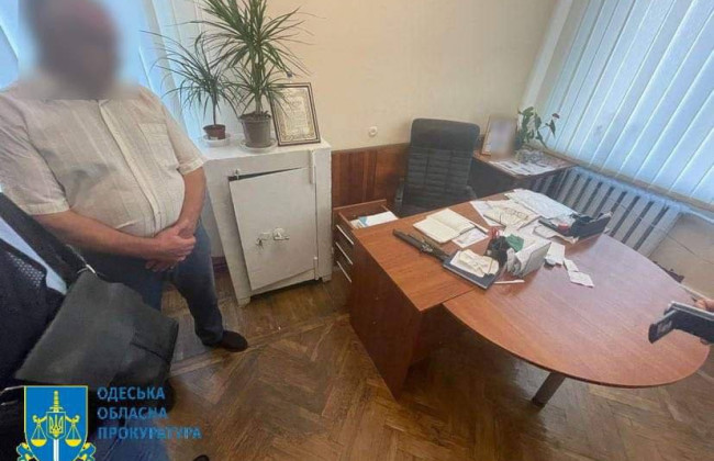 Вирубка ботанічного заказника «Павлівський» на Одещині: сімом ділкам повідомлено про підозру