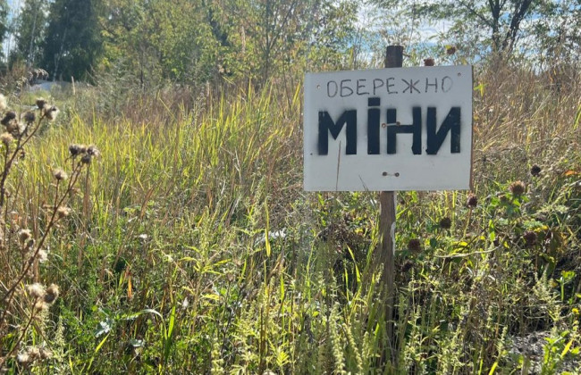 На Херсонщині підірвався на міні чоловік під час розмінування поля