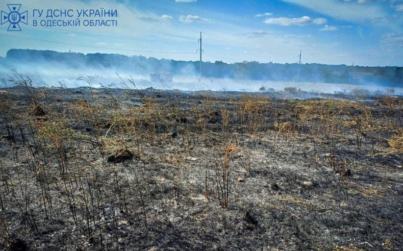 В Одесской области наказали поджигателей травы