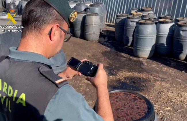 В Испании изъяли украденные оливки на полмиллиона евро