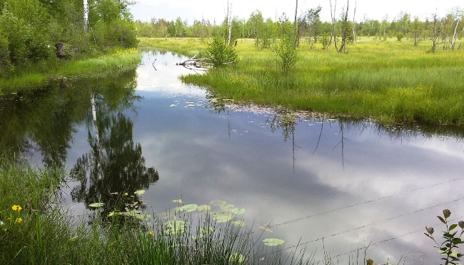 Экологи просят создать два нацпарка в Николаевской области