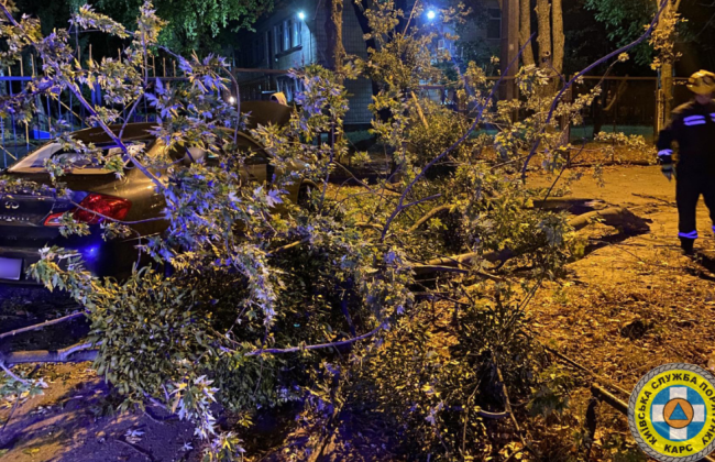 Последствия непогоды в Киеве: подразделения КАРС убрали поваленные ветром деревья, фото