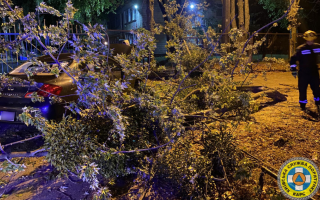 Наслідки негоди у Києві: підрозділи КАРС прибрали повалені вітром дерева, фото