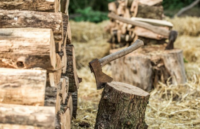 Міжнародні партнери виділять на дрова 2,6 млрд гривень – Мінреінтеграції