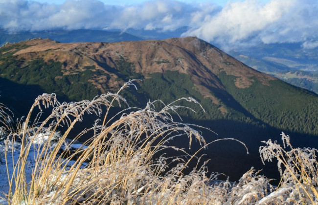 В Карпатах ударил мороз: температура опустилась до -6 градусов